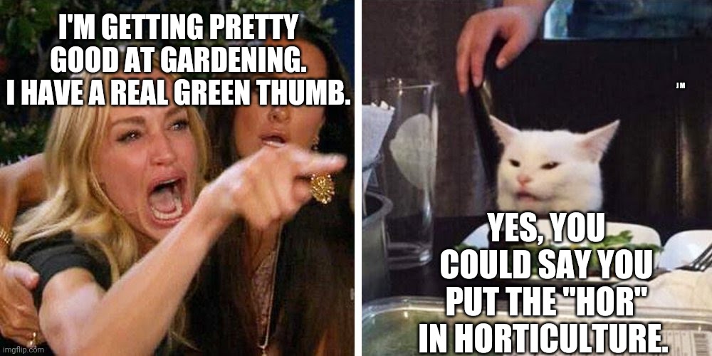 Smudge the cat | I'M GETTING PRETTY GOOD AT GARDENING. I HAVE A REAL GREEN THUMB. J M; YES, YOU COULD SAY YOU PUT THE "HOR" IN HORTICULTURE. | image tagged in smudge the cat | made w/ Imgflip meme maker