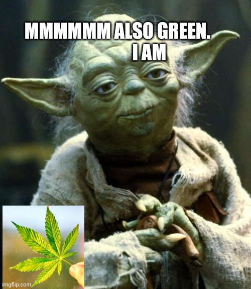 Star Wars Yoda Meme | MMMMMM ALSO GREEN.           
            I AM | image tagged in memes,star wars yoda | made w/ Imgflip meme maker