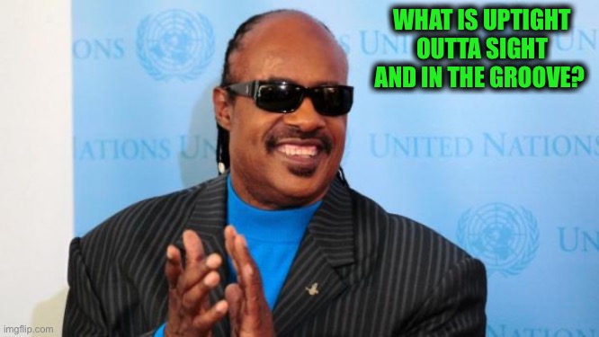 stevie wonder | WHAT IS UPTIGHT

OUTTA SIGHT
AND IN THE GROOVE? | image tagged in stevie wonder | made w/ Imgflip meme maker