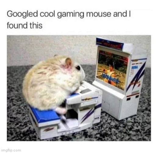 The only thing that irritates me about this is that it's a hamster not a mouse. | image tagged in cool gaming hamster | made w/ Imgflip meme maker