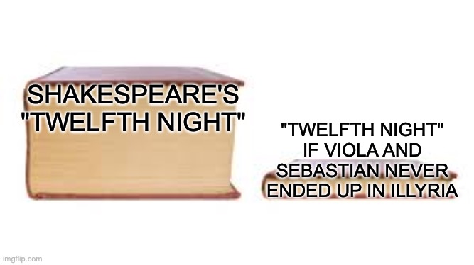 THANK GOD I'M DONE WITH THAT | SHAKESPEARE'S "TWELFTH NIGHT"; "TWELFTH NIGHT" IF VIOLA AND SEBASTIAN NEVER ENDED UP IN ILLYRIA | image tagged in big book small book,shakespeare,internal screaming | made w/ Imgflip meme maker