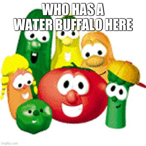 Hint: its blue | WHO HAS A WATER BUFFALO HERE | image tagged in veggie tales,water buffalo | made w/ Imgflip meme maker