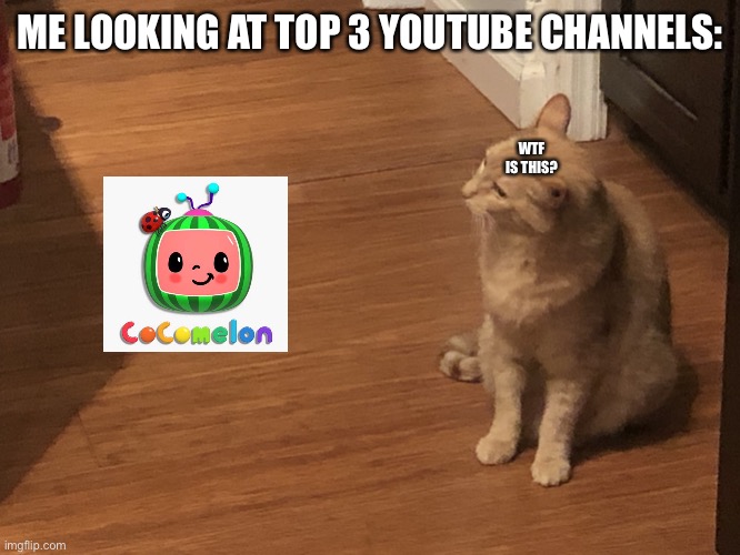 Cocomalone |  ME LOOKING AT TOP 3 YOUTUBE CHANNELS:; WTF IS THIS? | image tagged in confused cat | made w/ Imgflip meme maker
