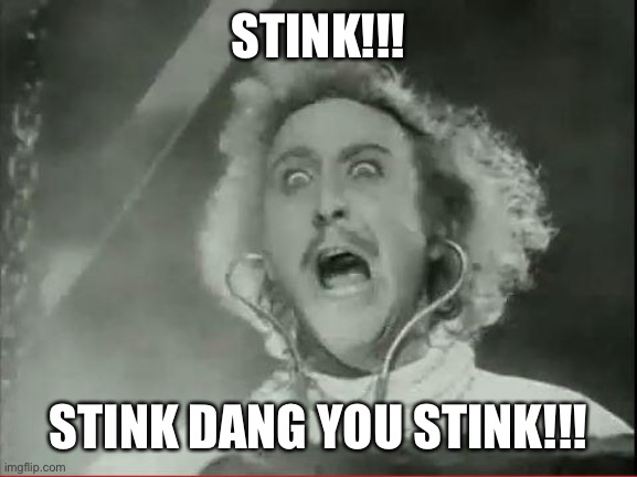 Young Frankenstein | STINK!!! STINK DANG YOU STINK!!! | image tagged in young frankenstein | made w/ Imgflip meme maker