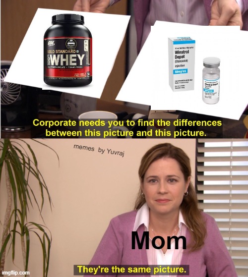 They're The Same Picture | memes  by Yuvraj; Mom | image tagged in memes,they're the same picture | made w/ Imgflip meme maker