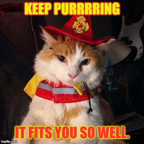 KEEP PURRRRING IT FITS YOU SO WELL. | made w/ Imgflip meme maker
