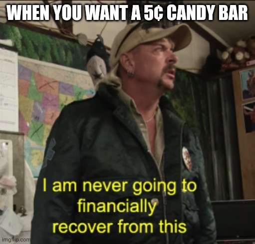 Joe Exotic Financially Recover | WHEN YOU WANT A 5¢ CANDY BAR | image tagged in joe exotic financially recover | made w/ Imgflip meme maker