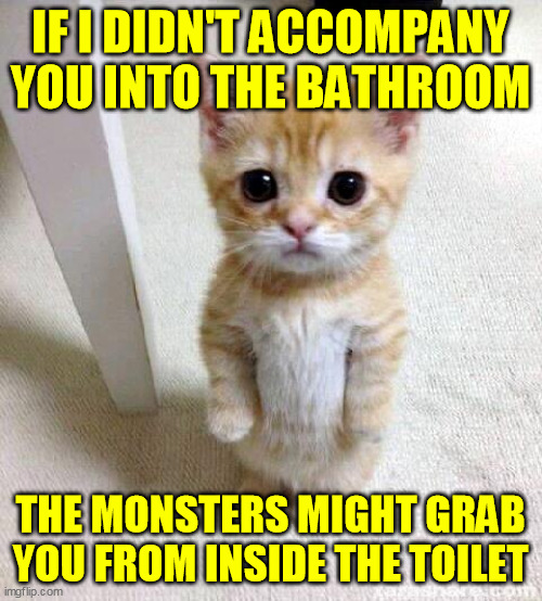 Cute Cat Meme | IF I DIDN'T ACCOMPANY YOU INTO THE BATHROOM THE MONSTERS MIGHT GRAB YOU FROM INSIDE THE TOILET | image tagged in memes,cute cat | made w/ Imgflip meme maker