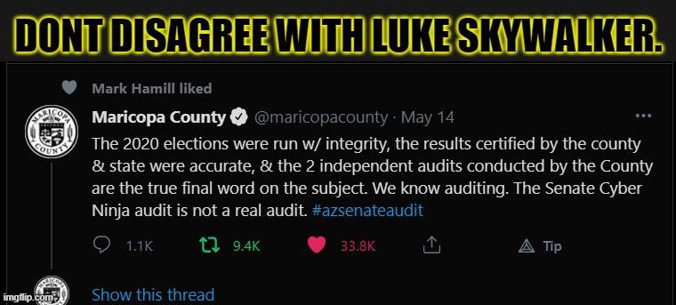 Force is strong in this one... | DONT DISAGREE WITH LUKE SKYWALKER. | image tagged in cyberninja,fake audit,fake fraud,republicans,deplorable,legit election | made w/ Imgflip meme maker
