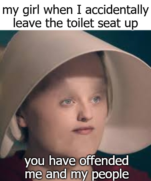 my girl when I accidentally leave the toilet seat up; you have offended me and my people | image tagged in my people | made w/ Imgflip meme maker