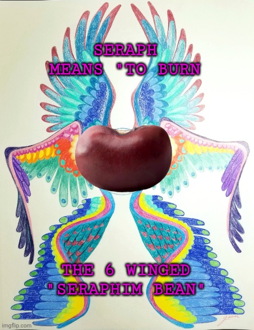 Seraphim Bean | SERAPH MEANS "TO BURN; THE 6 WINGED "SERAPHIM BEAN" | image tagged in bean,beans,wings,drawings,pencils,colors | made w/ Imgflip meme maker