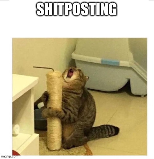 SCREAMING CAT LOVES POST | SHITPOSTING | image tagged in screaming cat loves post | made w/ Imgflip meme maker
