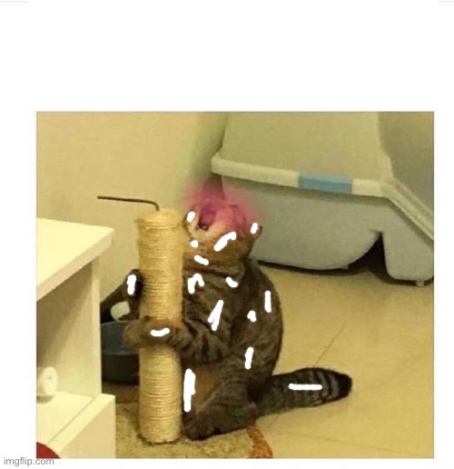 SCREAMING CAT LOVES POST | image tagged in screaming cat loves post | made w/ Imgflip meme maker