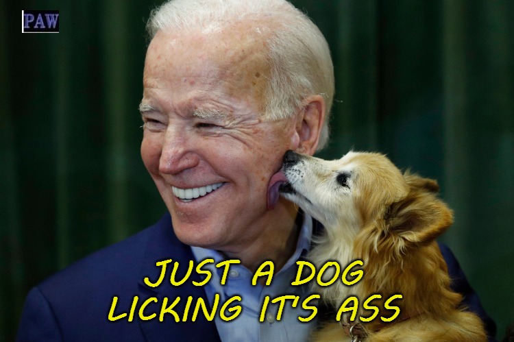 Dog Licking Ass | JUST A DOG LICKING IT'S ASS | image tagged in dog,licking,ass,biden,funny | made w/ Imgflip meme maker