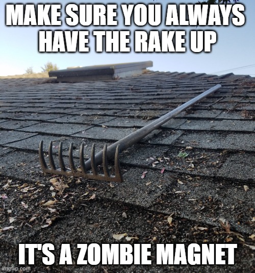 The chimney is covered, but I realized that zombies could fall through the skylight. | MAKE SURE YOU ALWAYS 
HAVE THE RAKE UP; IT'S A ZOMBIE MAGNET | image tagged in zombie defense rake,plants vs zombies | made w/ Imgflip meme maker