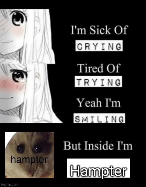 I'm Sick Of Crying | Hampter | image tagged in i'm sick of crying | made w/ Imgflip meme maker