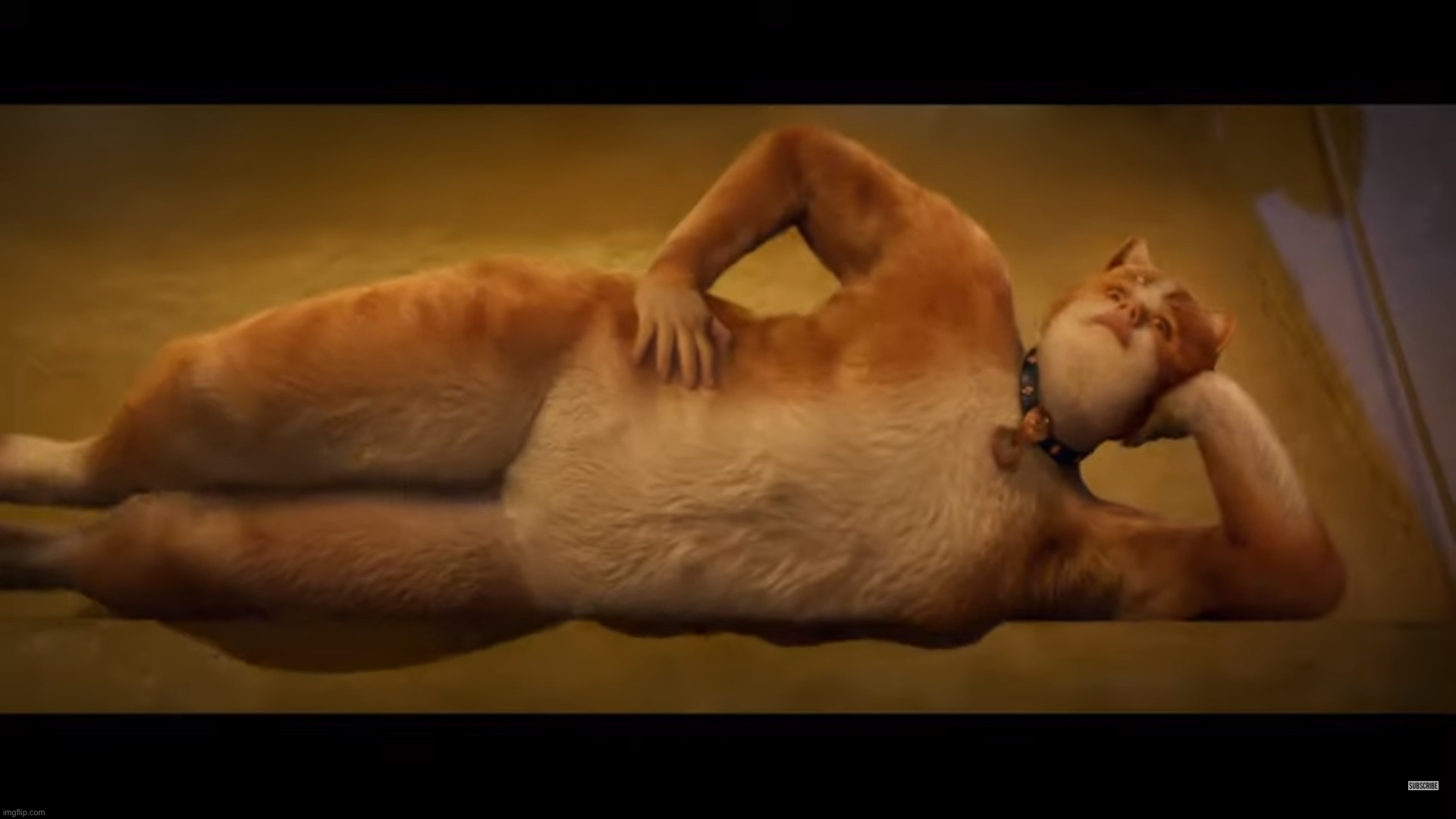 Cats Movie | image tagged in cats movie | made w/ Imgflip meme maker