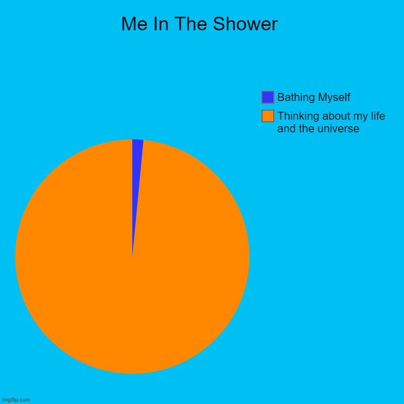 In the shower | Me In The Shower | Thinking about my life and the universe, Bathing Myself | image tagged in charts,pie charts | made w/ Imgflip chart maker