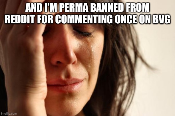 I officially hate reddit | AND I’M PERMA BANNED FROM REDDIT FOR COMMENTING ONCE ON BVG | image tagged in memes,first world problems | made w/ Imgflip meme maker