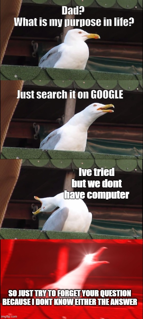 Inhaling Seagull | Dad?
 What is my purpose in life? Just search it on GOOGLE; Ive tried but we dont have computer; SO JUST TRY TO FORGET YOUR QUESTION BECAUSE I DONT KNOW EITHER THE ANSWER | image tagged in memes,inhaling seagull | made w/ Imgflip meme maker