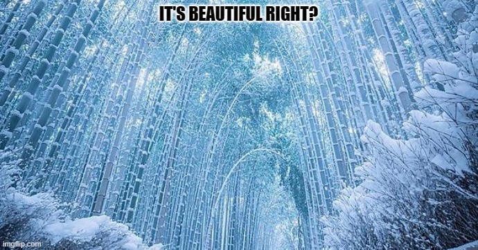 IT'S BEAUTIFUL RIGHT? | made w/ Imgflip meme maker