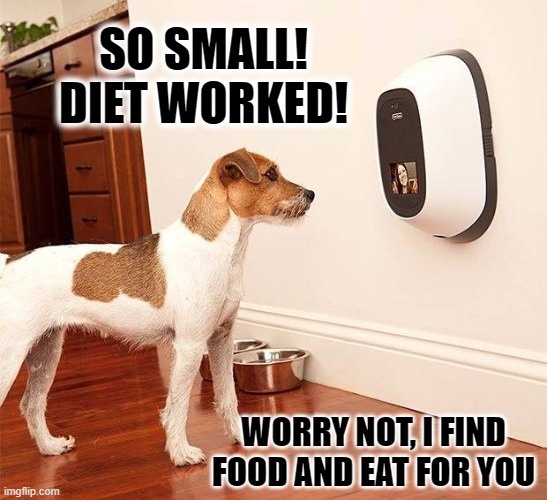 Dog happy for you... and self | SO SMALL! DIET WORKED! WORRY NOT, I FIND
FOOD AND EAT FOR YOU | image tagged in pet nanny,dogs,diet,too much food,intelligent dog | made w/ Imgflip meme maker