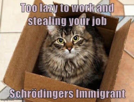 Too lazy to work and stealing your jobs! Schrödingers immigrant. | image tagged in immigration,jobs | made w/ Imgflip meme maker