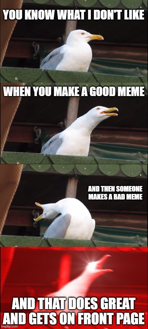 Like upvote beggers | YOU KNOW WHAT I DON'T LIKE; WHEN YOU MAKE A GOOD MEME; AND THEN SOMEONE MAKES A BAD MEME; AND THAT DOES GREAT AND GETS ON FRONT PAGE | image tagged in memes,inhaling seagull,upvote begging | made w/ Imgflip meme maker