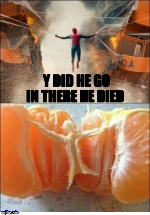 Y DID HE GO IN THERE HE DIED | image tagged in fun | made w/ Imgflip meme maker