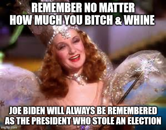 Joe is the Resident not the President | REMEMBER NO MATTER HOW MUCH YOU BITCH & WHINE; JOE BIDEN WILL ALWAYS BE REMEMBERED AS THE PRESIDENT WHO STOLE AN ELECTION | image tagged in glenda witch,joe biden | made w/ Imgflip meme maker