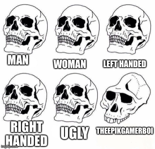 Idiot Skull Meme | LEFT HANDED; MAN; WOMAN; THEEPIKGAMERBOI; RIGHT HANDED; UGLY | image tagged in idiot skull meme,n | made w/ Imgflip meme maker