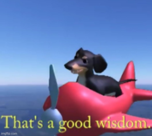 That's A Good Wisdom | image tagged in that's a good wisdom | made w/ Imgflip meme maker