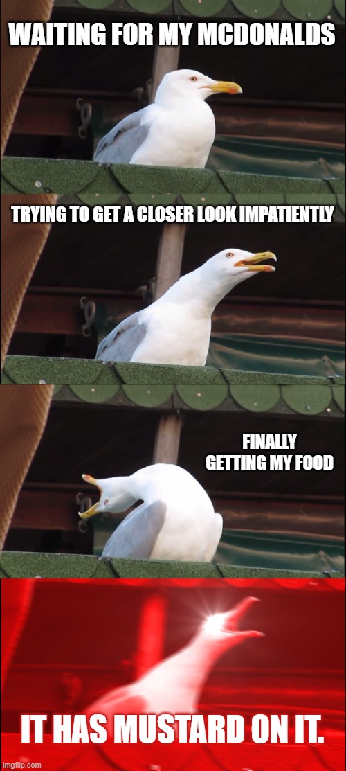 Inhaling Seagull Meme | WAITING FOR MY MCDONALDS; TRYING TO GET A CLOSER LOOK IMPATIENTLY; FINALLY GETTING MY FOOD; IT HAS MUSTARD ON IT. | image tagged in memes,inhaling seagull | made w/ Imgflip meme maker