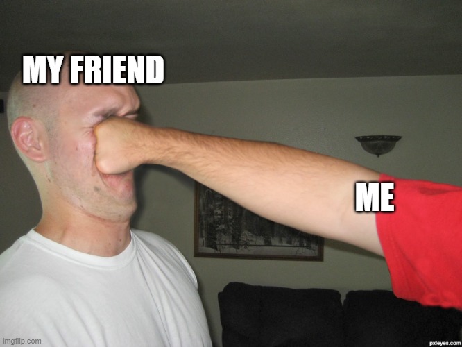 ME MY FRIEND | image tagged in face punch | made w/ Imgflip meme maker