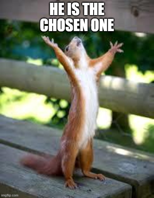 HE IS THE CHOSEN ONE | image tagged in praise squirrel | made w/ Imgflip meme maker