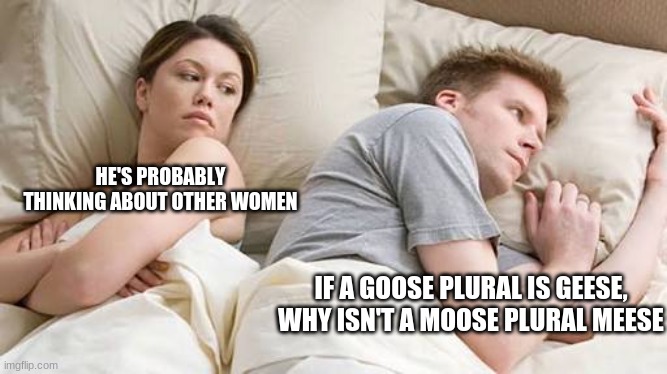 I bet in the near future we will call them meese | HE'S PROBABLY THINKING ABOUT OTHER WOMEN; IF A GOOSE PLURAL IS GEESE, WHY ISN'T A MOOSE PLURAL MEESE | image tagged in he s probably thinking about other women | made w/ Imgflip meme maker