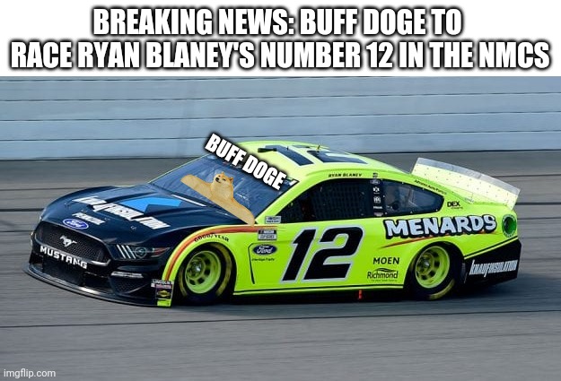The Doge family is complete! | BREAKING NEWS: BUFF DOGE TO  RACE RYAN BLANEY'S NUMBER 12 IN THE NMCS; BUFF DOGE | image tagged in nmcs,nascar,memes,buff doge | made w/ Imgflip meme maker