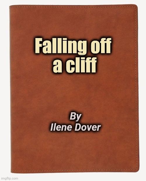 A real life adventure |  Falling off 
a cliff; By
Ilene Dover | image tagged in blank book cover,bad pun,no need to thank me,how about i do it anyway,punny | made w/ Imgflip meme maker