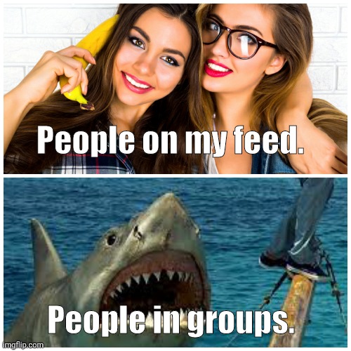 Friends vs. Groups | People on my feed. People in groups. | image tagged in facebook,memes,jaws | made w/ Imgflip meme maker