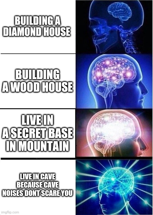 Living arrangement | BUILDING A DIAMOND HOUSE; BUILDING A WOOD HOUSE; LIVE IN A SECRET BASE IN MOUNTAIN; LIVE IN CAVE BECAUSE CAVE NOISES DONT SCARE YOU | image tagged in memes,expanding brain | made w/ Imgflip meme maker