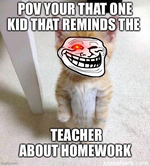 Cute Cat | POV YOUR THAT ONE KID THAT REMINDS THE; TEACHER ABOUT HOMEWORK | image tagged in memes,cute cat | made w/ Imgflip meme maker