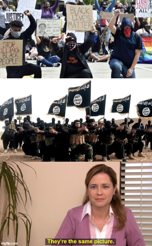 No Difference | image tagged in black lives matter isis,memes,they're the same picture,isis | made w/ Imgflip meme maker