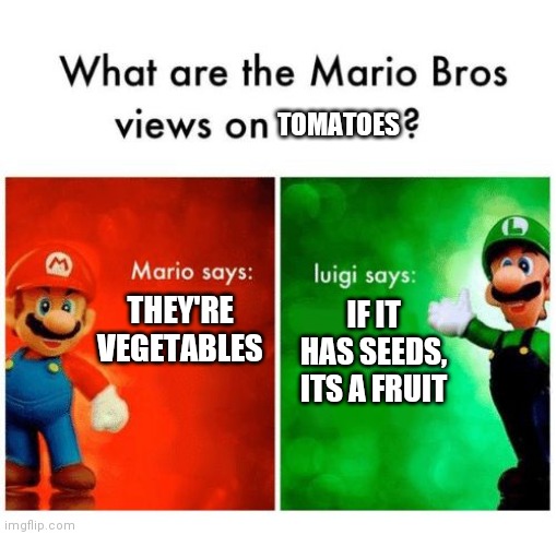 I think they're fruit becuz they have seeds | TOMATOES; THEY'RE VEGETABLES; IF IT HAS SEEDS, ITS A FRUIT | image tagged in mario says luigi says | made w/ Imgflip meme maker