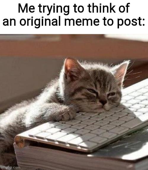 It's hard to make an original meme nowadays | Me trying to think of an original meme to post: | image tagged in tired cat | made w/ Imgflip meme maker