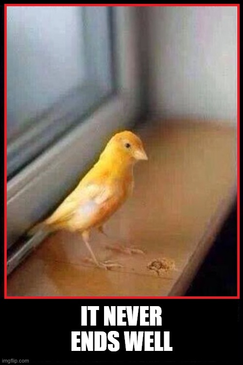 Any Marines here? | IT NEVER ENDS WELL | image tagged in marines,semper fi,a yellow bird,usmc | made w/ Imgflip meme maker