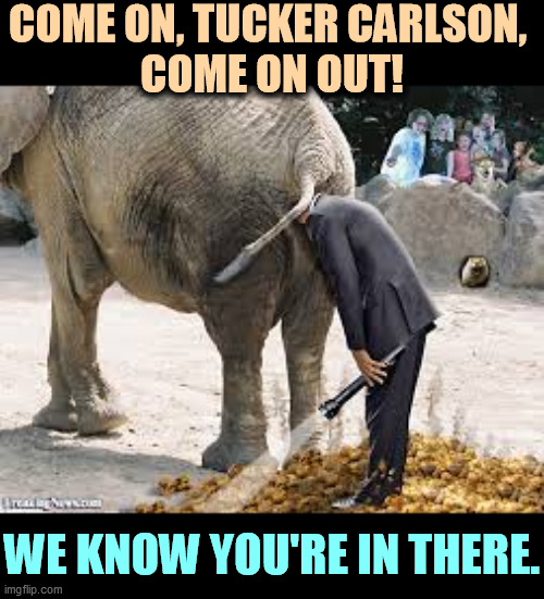 GOP Republicans looking for Tucker Carlson - elephant | COME ON, TUCKER CARLSON, 
COME ON OUT! WE KNOW YOU'RE IN THERE. | image tagged in gop republicans looking for tucker carlson - elephant,tucker carlson,elephant | made w/ Imgflip meme maker