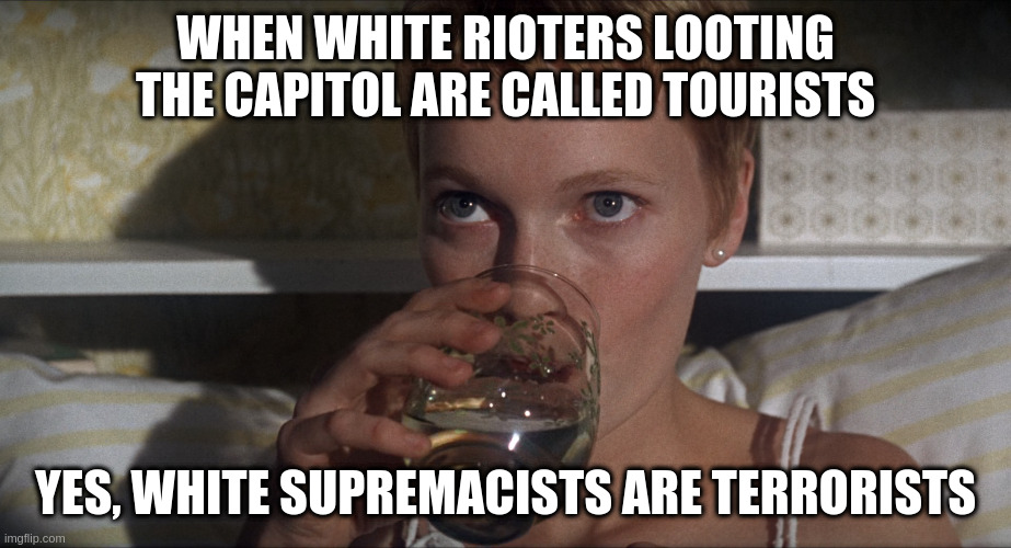 our sad cousins need help | WHEN WHITE RIOTERS LOOTING THE CAPITOL ARE CALLED TOURISTS YES, WHITE SUPREMACISTS ARE TERRORISTS | image tagged in rosemary | made w/ Imgflip meme maker