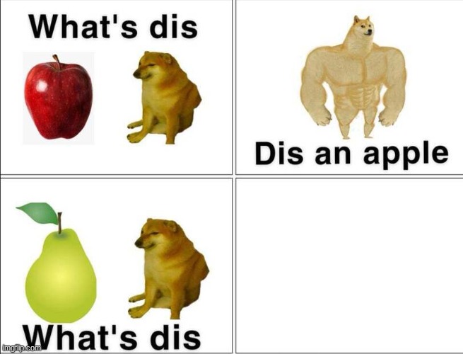 dis a pear | image tagged in comics/cartoons,dis an apple,dis a pear,doge,buff doge | made w/ Imgflip meme maker