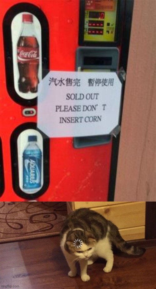 *don't insert coin | image tagged in buffering cat,you had one job,memes,vending machine,drinks,spelling error | made w/ Imgflip meme maker