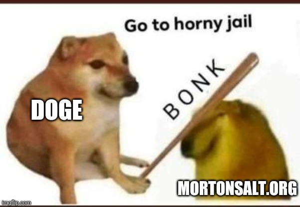 Go to horny jail | DOGE MORTONSALT.ORG | image tagged in go to horny jail | made w/ Imgflip meme maker